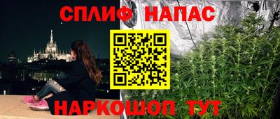 прущие грибы Пугачёв
