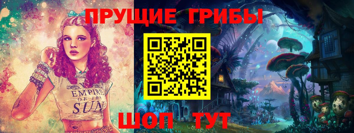 Псилоцибиновые грибы GOLDEN TEACHER Северобайкальск