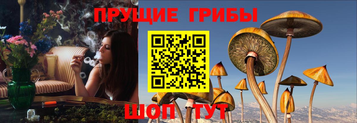 Северобайкальск  Галлюциногенные грибы MAGIC MUSHROOMS  Псилоцибиновые грибы ЛСД  Вход с VPN 